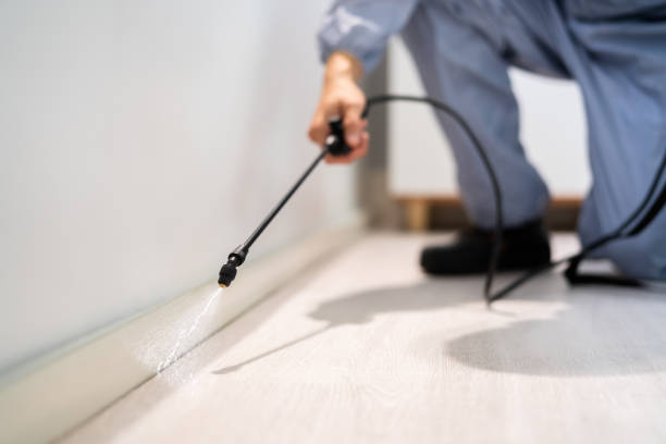 Certified termite inspector examining foundation in Falling Water