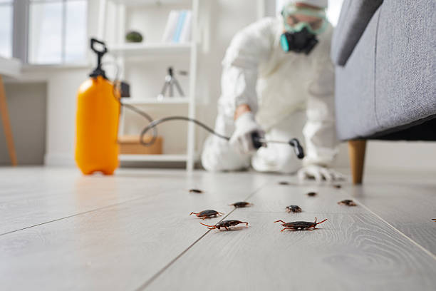 Commercial Kitchen Cockroach Control in Falling Water